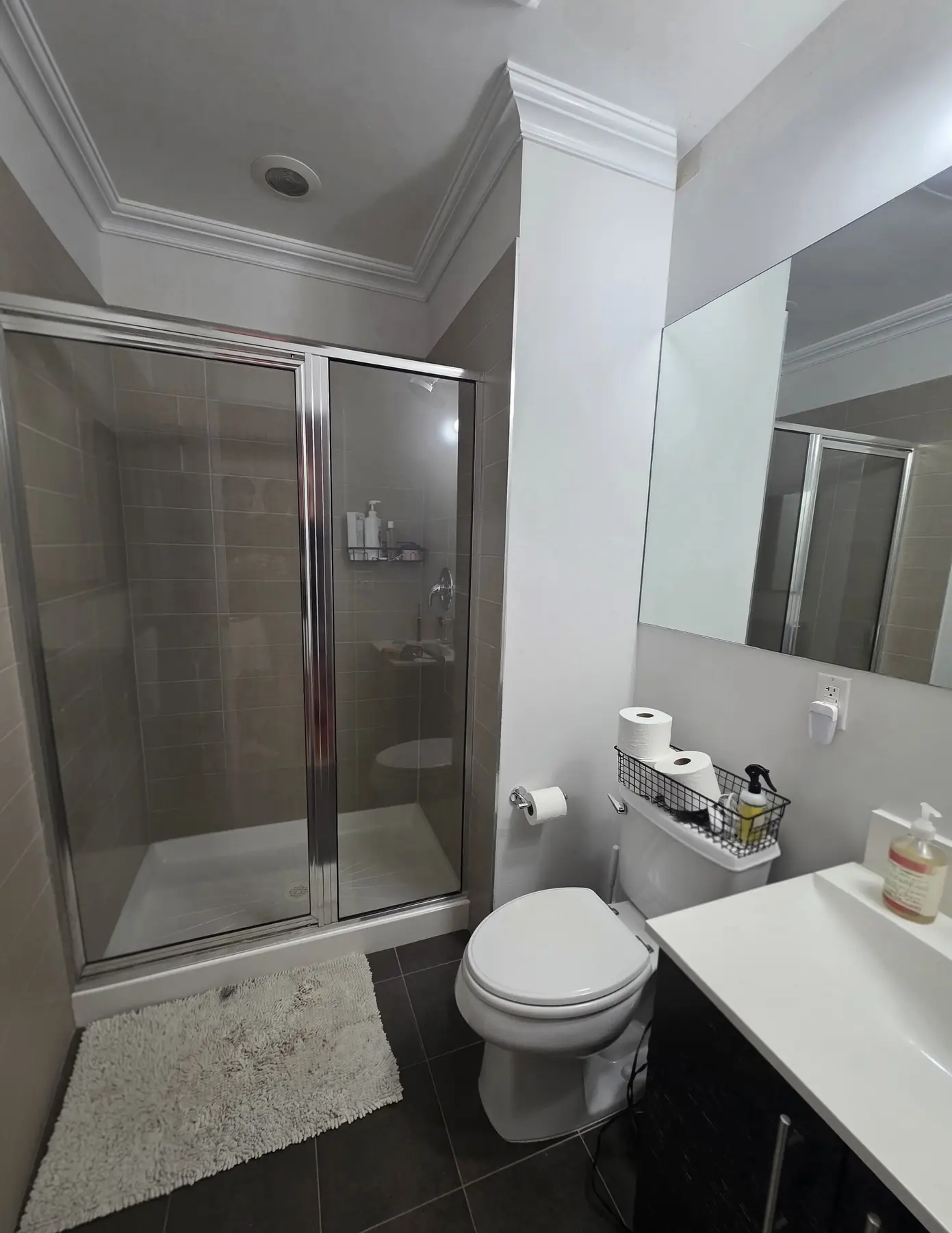 The second bathroom before work began, with its old framed shower stall and dark floor tile
